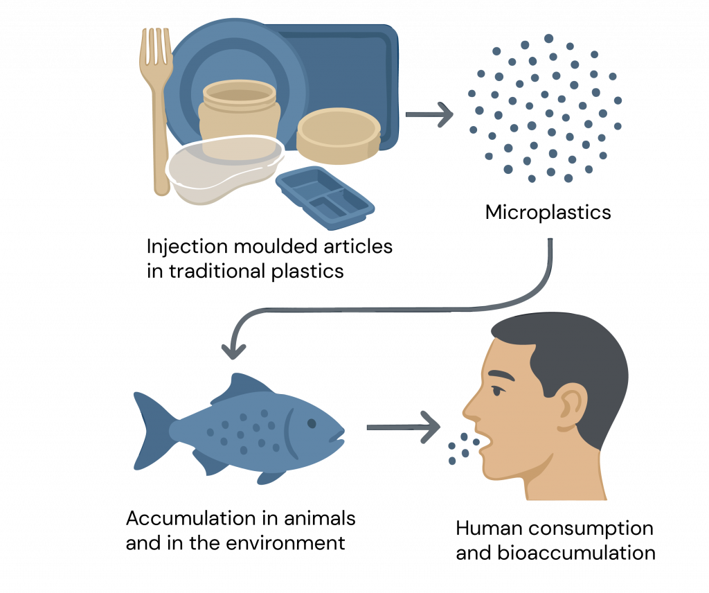 Bioaccumulation schematic